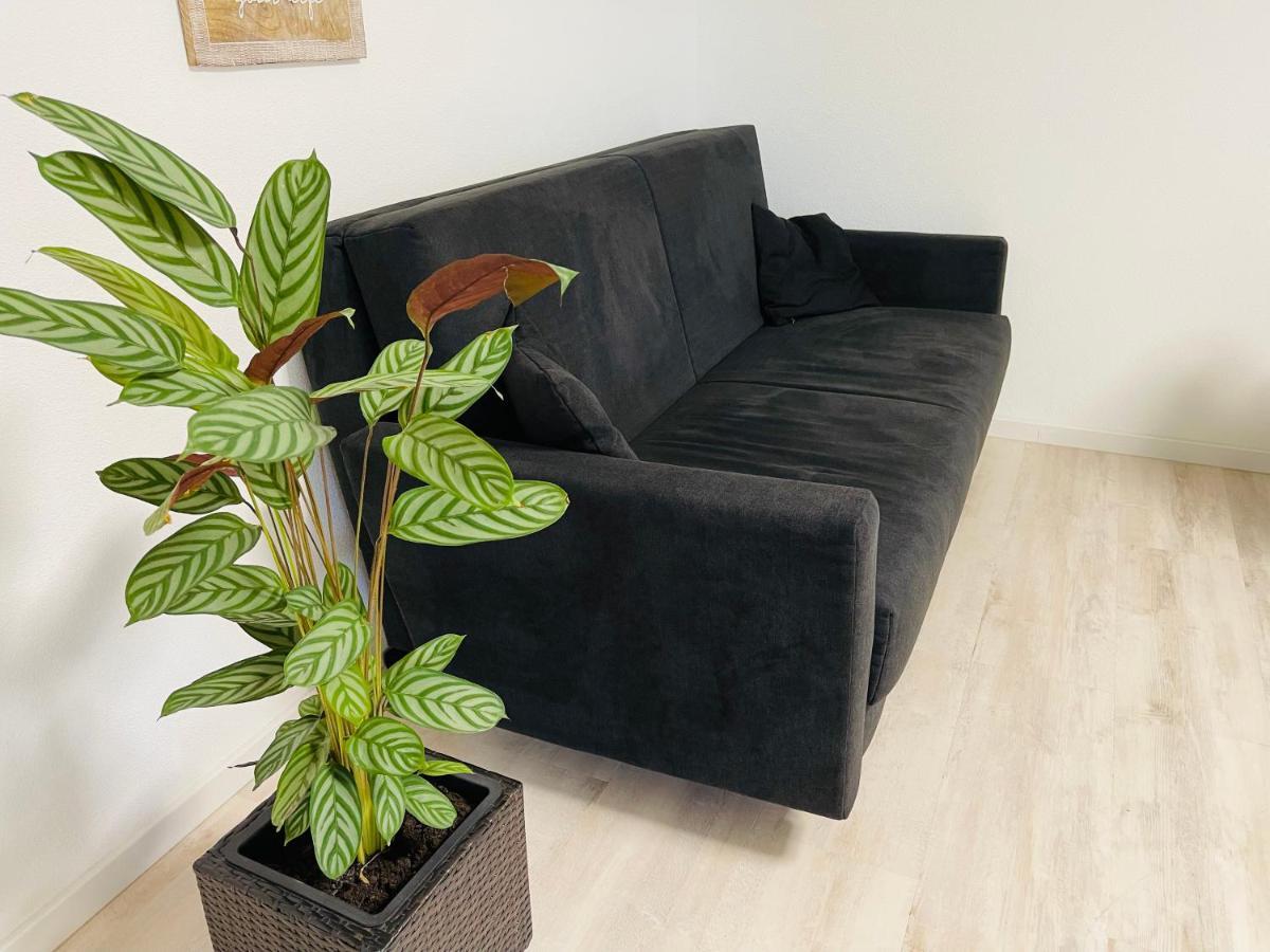 Ferienwohnung In Stockach Am Bodensee 外观 照片